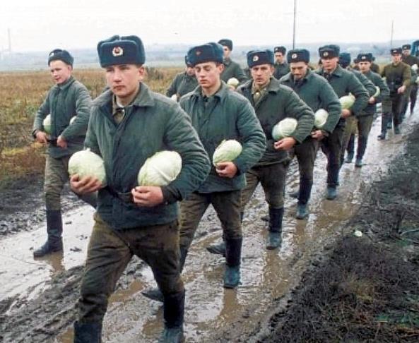 Кому была выгодна дедовщина в Советской армии? (2018)