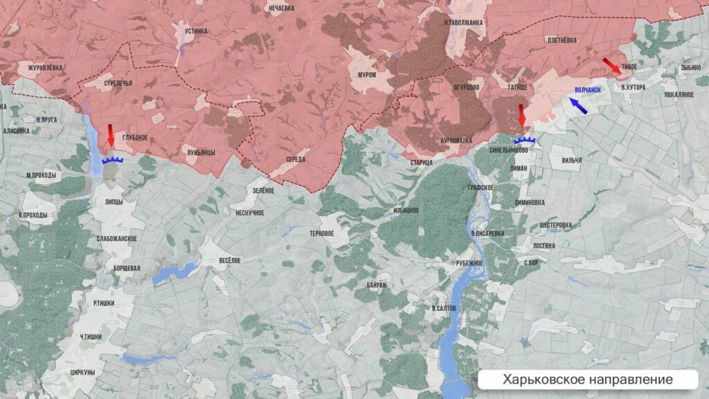 photo 2025 11 03 02 01 04