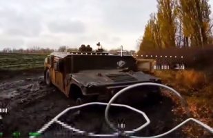 Скриншот 05 11 2025 161754