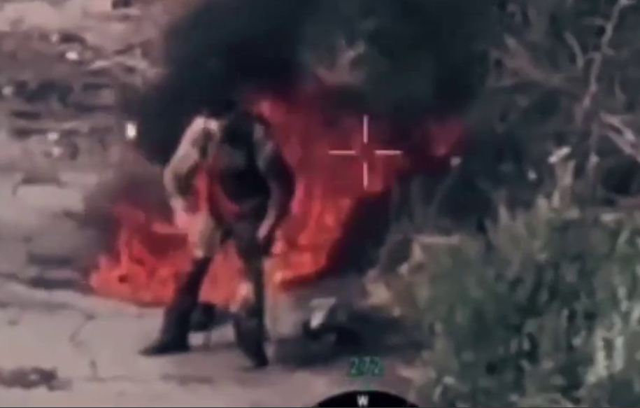 Военные сводки с фронта